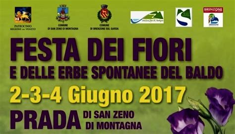 festa dei fiori e delle erbe spontanee prada|Prada propone tre giorni di festa dei fiori .